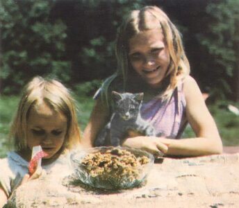 Mother's Children: Making Natural Desserts With Natural Sweeteners Image
